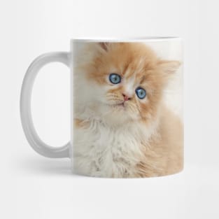 Softness Mug